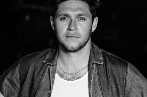 Niall Horan, el ex "One Direction" que hoy brilla como solista.