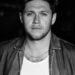 Niall Horan, el ex "One Direction" que hoy brilla como solista.