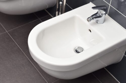 Bidé de diseño moderno en un cuarto de baño.